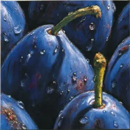 plums-almach-plakat-obraz-50x50cm