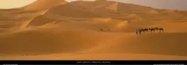 merzouga-marocco-john-lawrence-plakat-obraz-95x33cm