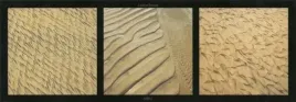 sable-laurent-pinsard-plakat-obraz-95x33cm