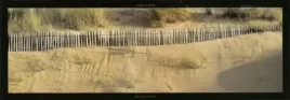 dune-de-carteret-laurent-pinsard-plakat-obraz-95x33cm
