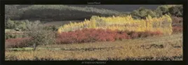 automne-en-provence-laurent-pinsard-plakat-obraz-95x33cm