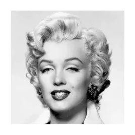 monroe-portrait-collection-photography-plakat-obraz-50x50cm
