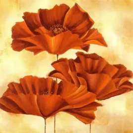 three-poppies-i-nicola-rabbett-plakat-obraz-50x50cm