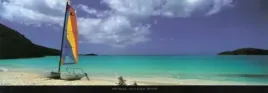 shell-beach-antigua-tom-mackie-plakat-obraz-95x33cm
