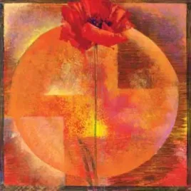 red-poppy-dulac-yvonne-plakat-obraz-50x50cm