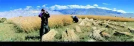 lo-manthang-tibet-davide-camisasca-plakat-obraz-95x33cm