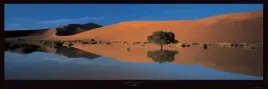 namib-desert-philippe-bourseiller-plakat-obraz-95x33cm