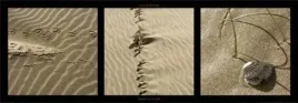 details-sur-le-sable-laurent-pinsard-plakat-obraz-95x33cm