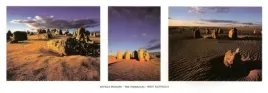 the-pinnacles-west-australia-neville-prosser-plakat-obraz-95x33cm