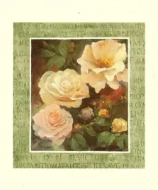 roze-willem-haenraets-plakat-obraz-50x60cm