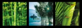quietude-collection-photography-plakat-obraz-95x33cm