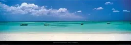 palm-beach-aruba-caribbean-tom-mackie-plakat-obraz-95x33cm