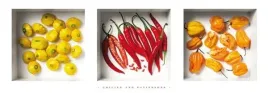 chilies-and-patissons-dave-brullmann-plakat-obraz-95x33cm