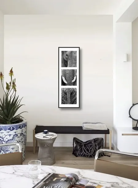elephants-rocco-sette-plakat-obraz-33x95cm-tematyka-zwierzeta