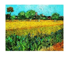 arles-les-irises-vincent-van-gogh-plakat-obraz-60x50cm
