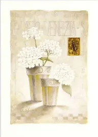 venezia-claudia-ancilotti-plakat-obraz-50x70cm