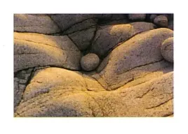 kinmare-dieter-beckmann-plakat-obraz-70x50cm