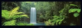 millaa-fallsqueenslandaustralia-peter-lik-plakat-obraz-95x33cm