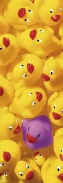 quack-quack-ii-dave-brullmann-plakat-obraz-33x95cm