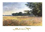 oat-fields-claude-monet-plakat-obraz-70x50cm