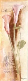 calla-anna-gardner-plakat-obraz-35x100cm
