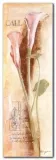 calla-anna-gardner-plakat-obraz-35x100cm-stan-nowy