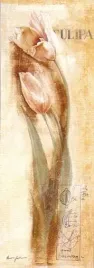 tulipa-anna-gardner-plakat-obraz-35x100cm