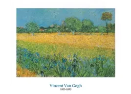 view-of-arles-with-irises-vincent-van-gogh-plakat-obraz-70x50cm
