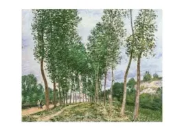 paupliers-au-bord-du-loing-alfred-sisley-plakat-obraz-70x50cm