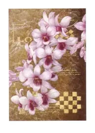 shining-pearls-bai-xue-plakat-obraz-50x70cm