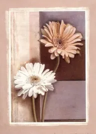 together-tamara-ross-plakat-obraz-50x70cm