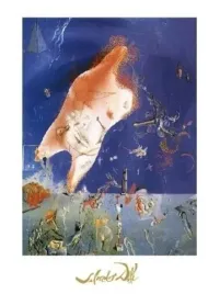 senicitas-salvador-dali-plakat-obraz-60x80cm
