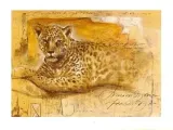 wid-life-ii-joadoor-plakat-obraz-80x60cm
