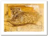 wid-life-ii-joadoor-plakat-obraz-80x60cm-stan-nowy