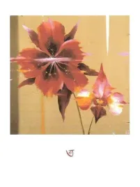 orchid-and-corn-poppy-julia-ogden-plakat-obraz-60x80cm