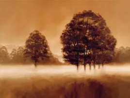 misty-meadow-alan-parker-plakat-obraz-80x60cm