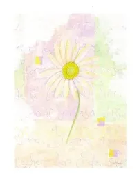 marguerite-sanderini-plakat-obraz-60x80cm