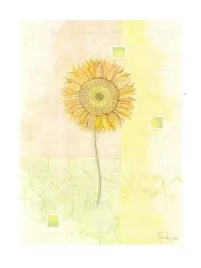 sunflower-sanderini-plakat-obraz-60x80cm