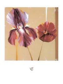 movement-flowers-julia-ogden-plakat-obraz-60x80cm