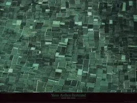culture-d-algues-a-bali-yann-arthus-bertrand-plakat-obraz-80x60cm