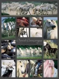 cheval-camargue-gilles-martin-raget-plakat-obraz-60x80cm