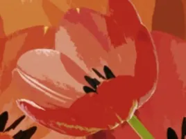 tulip-i-jan-lens-plakat-obraz-80x60cm