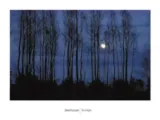 moonlight-david-luczyn-plakat-obraz-80x60cm