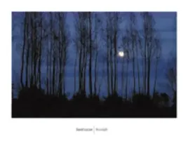 moonlight-david-luczyn-plakat-obraz-80x60cm