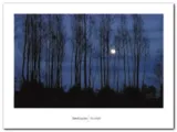 moonlight-david-luczyn-plakat-obraz-80x60cm-stan-nowy