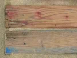 driftwood-aukya-plakat-obraz-80x60cm