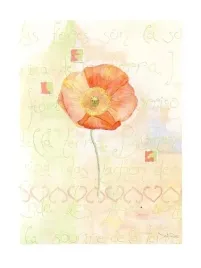 poppies-sanderini-plakat-obraz-60x80cm