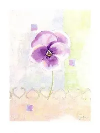 violet-sanderini-plakat-obraz-60x80cm