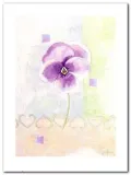 violet-sanderini-plakat-obraz-60x80cm-stan-nowy