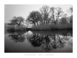 prospect-park-morning-henri-silberman-plakat-obraz-80x60cm